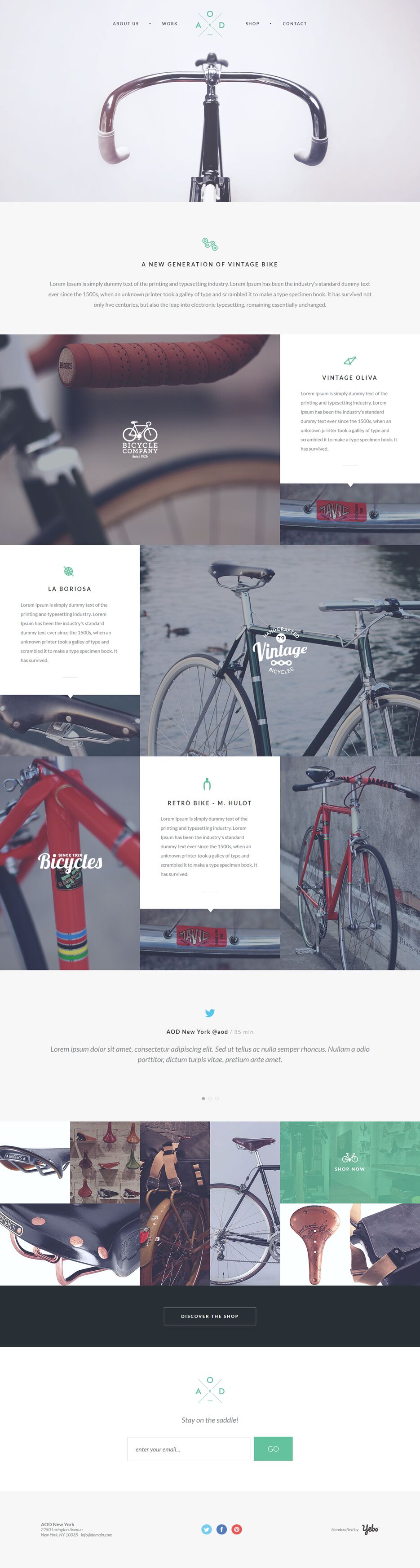 FireShot Capture 002 - Bicycle theme - .png