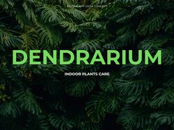 DENDRARIUM ходе работы  mobile app учебный проект