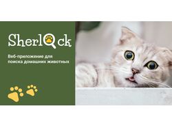 Дизайн веб-приложения для поиска домашних животных