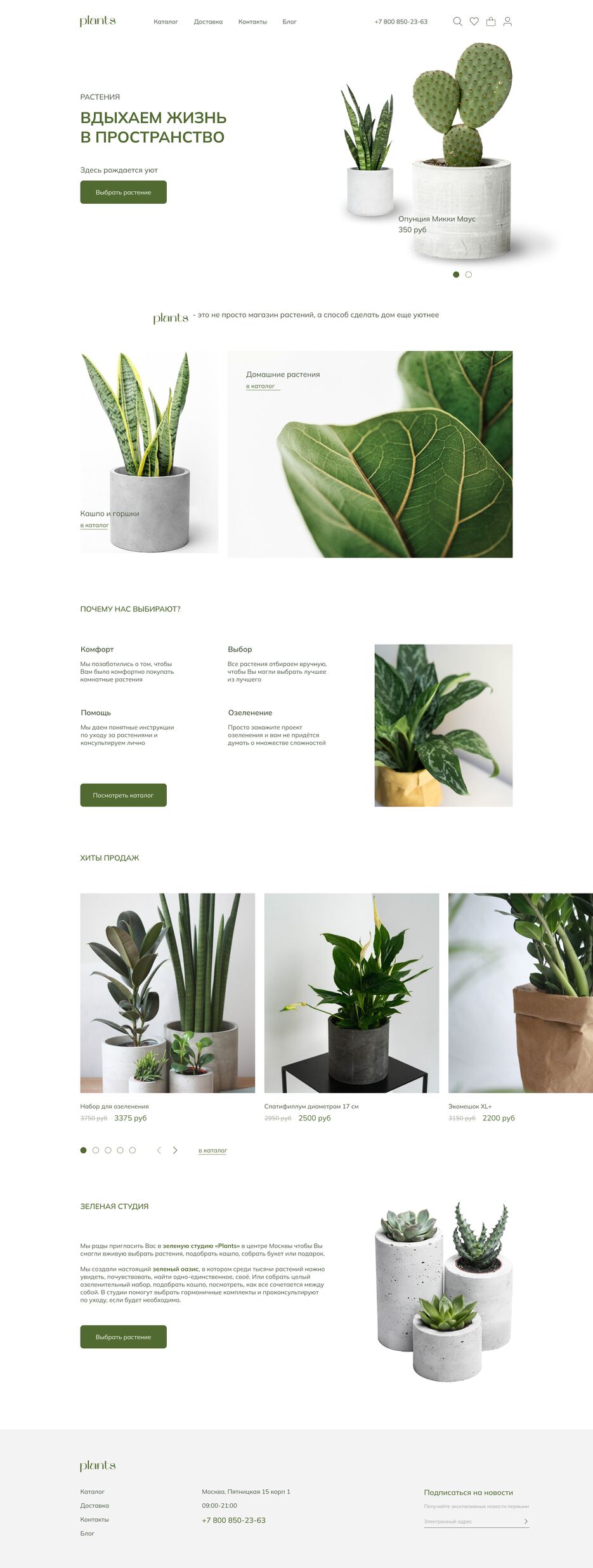 HomePlantsLanding.png