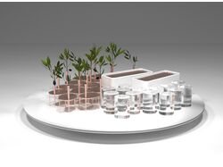 Візуалізація блюда для кулінарного конкурсу