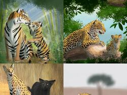 Иллюстрация животных