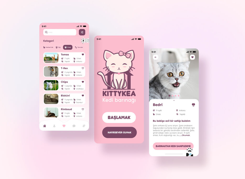Kittykea.jpg