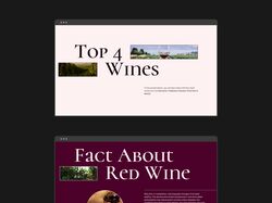Wine Presentation