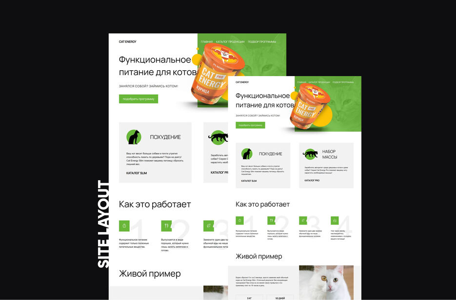 Верстка сайта кошачьих кормов.jpg