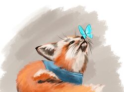 Иллюстрации к книге