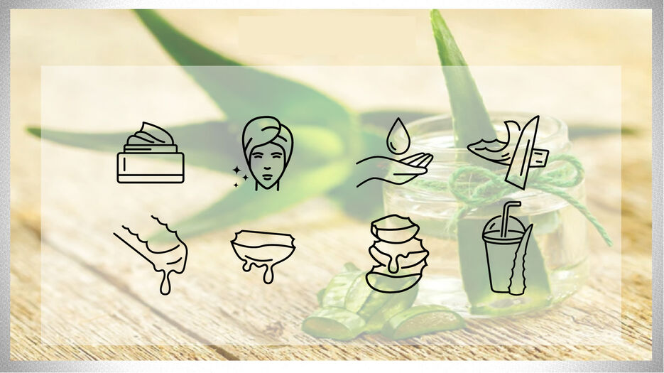aloe vera big icons set.jpg