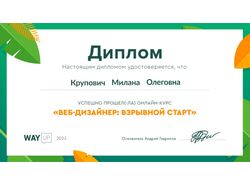 курс пройден)