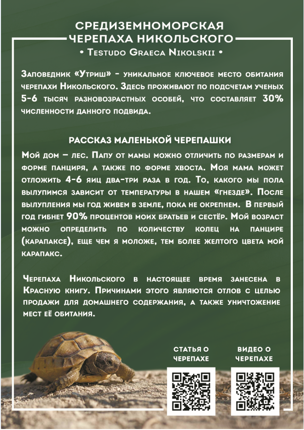 Снимок 2.PNG