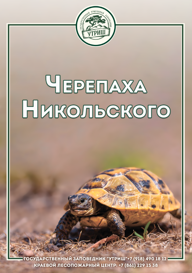 Снимок.PNG