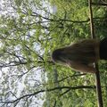 Kudrya_0308