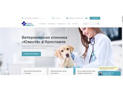 Wordpress с управлением без конструктора