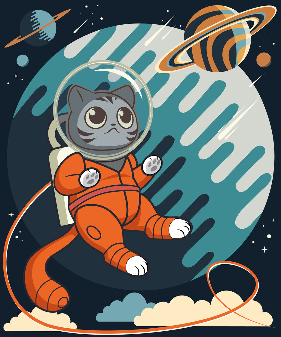 Cat-in-a-space3.jpg