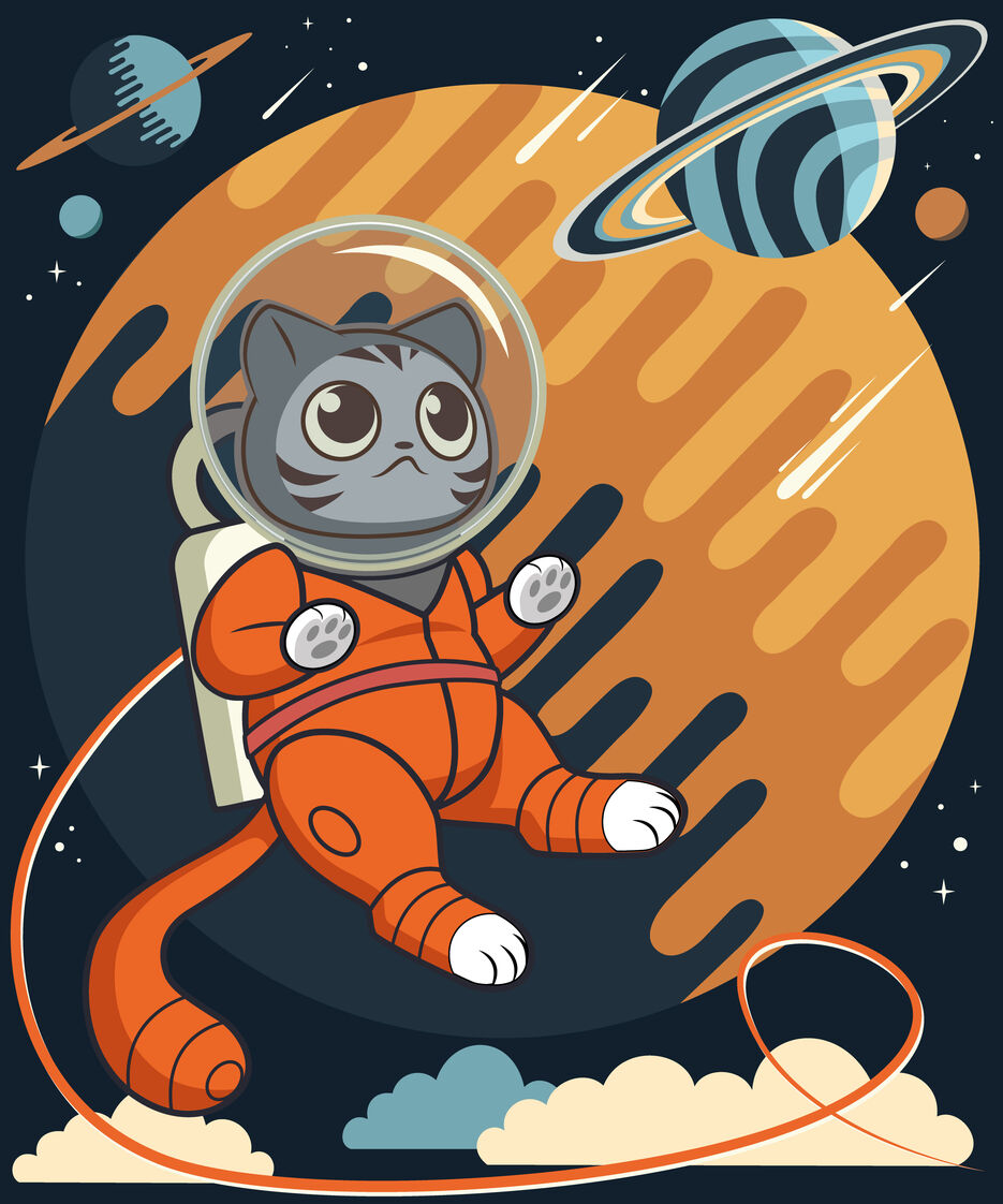 Cat-in-a-space-5.jpg