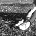 _asya15_