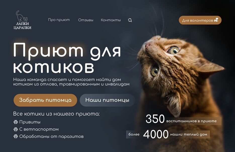 приют 3.png