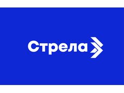 Айдентика для digital-конференции "Стрела".