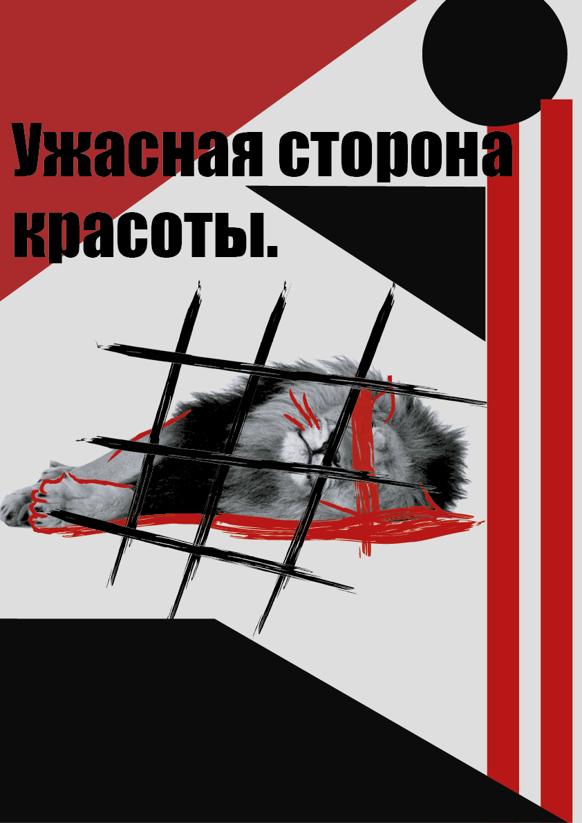 1.1.png