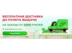 Баннер акция по доставке
