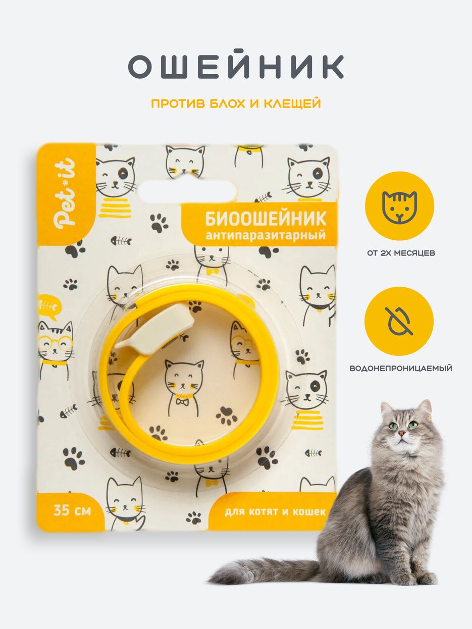 страница 1.png