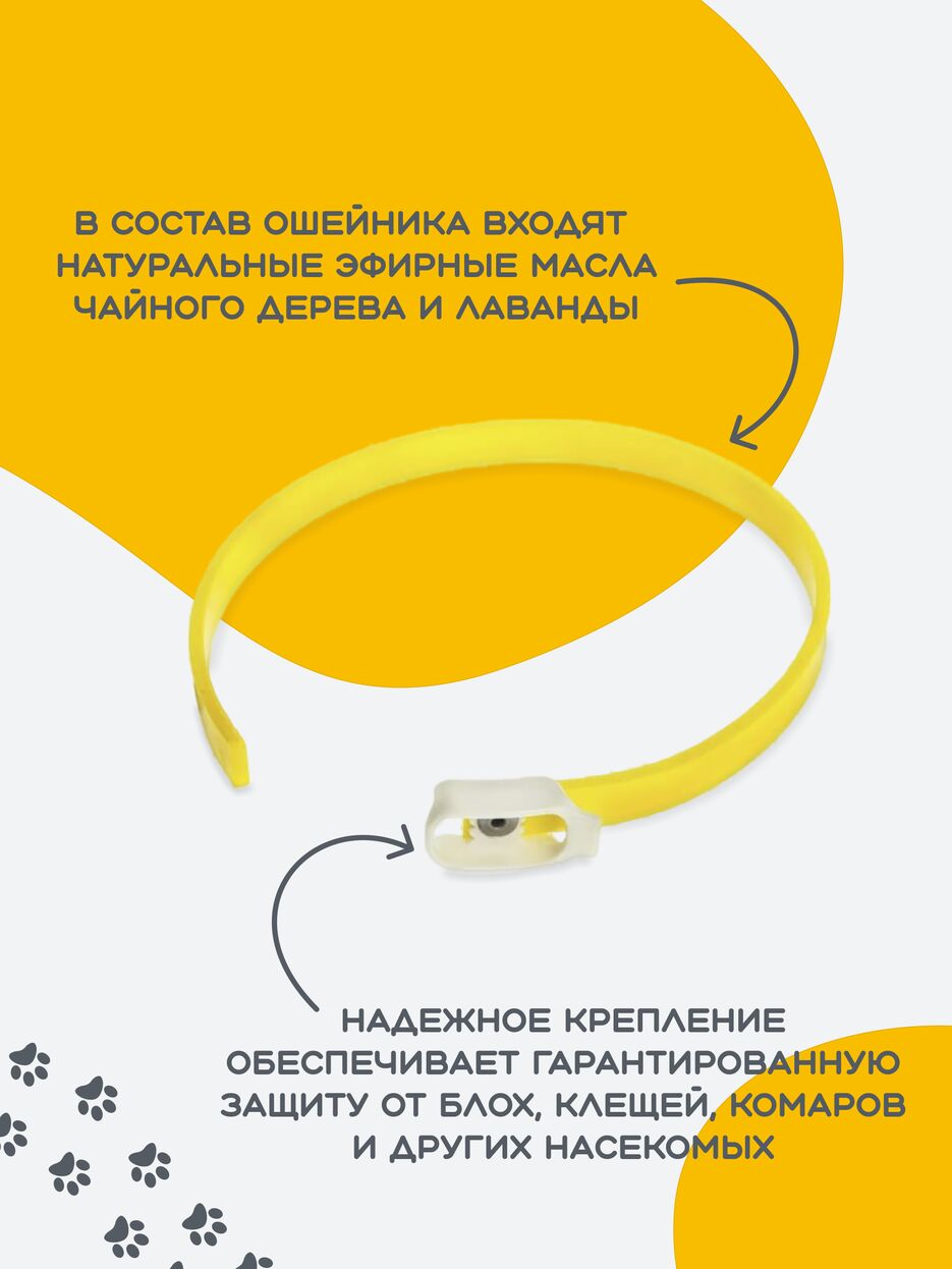 страница 3.png