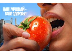 Баннер