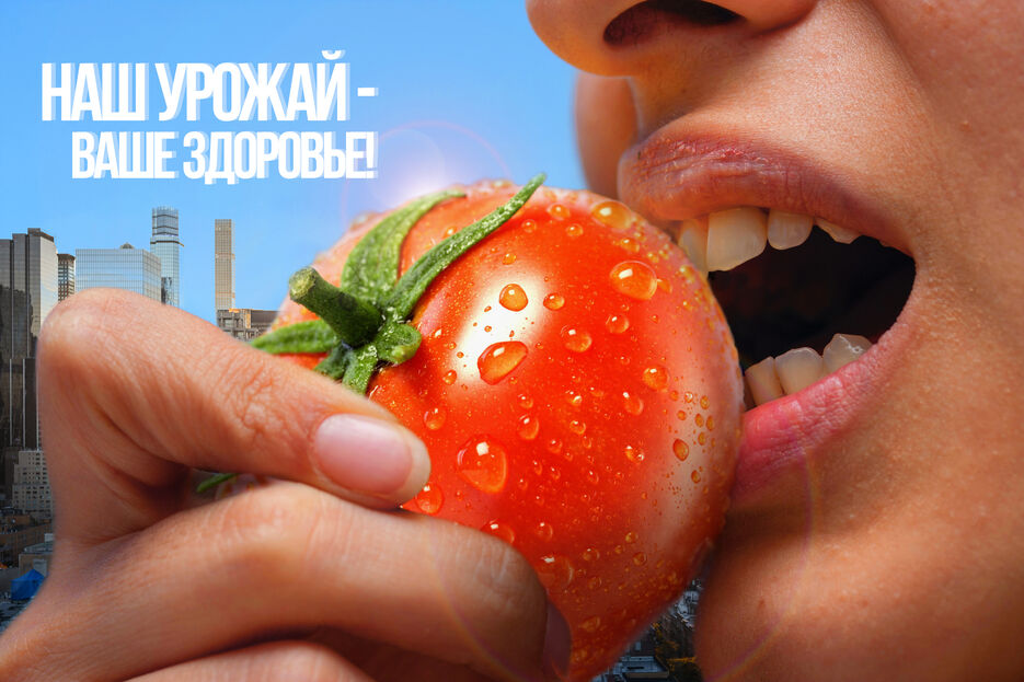 плакат.jpg