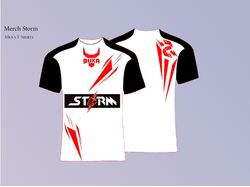 Merch Storm