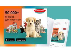 Баннер для магазина Бетховен