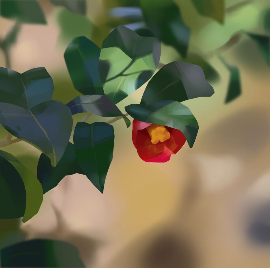 зарисовка на цвет и технику_красный цветок.png