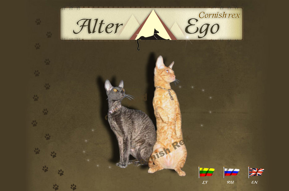 Сайт породы котов "Корниш Рэкс".jpg