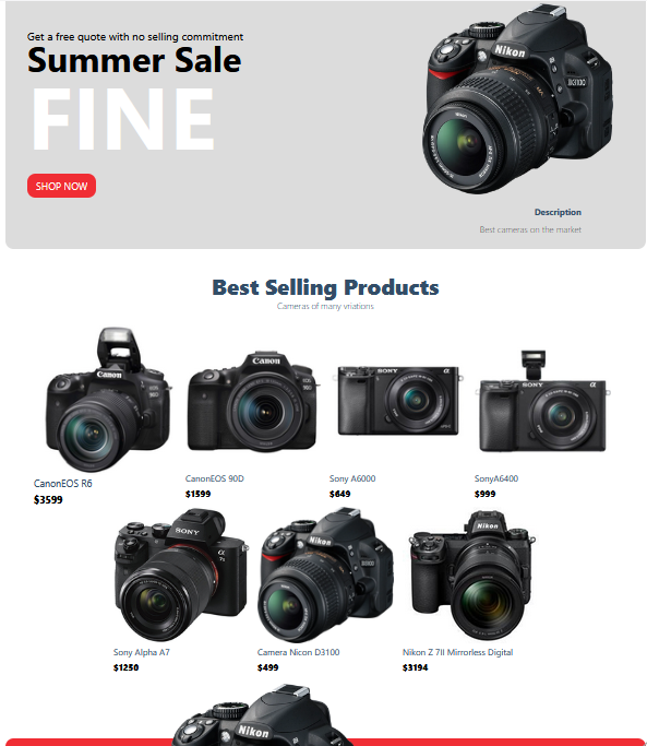 DigitalCameras.png