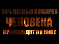 Социальная реклама