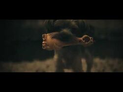 Коротке відео про домашнього улюбленця