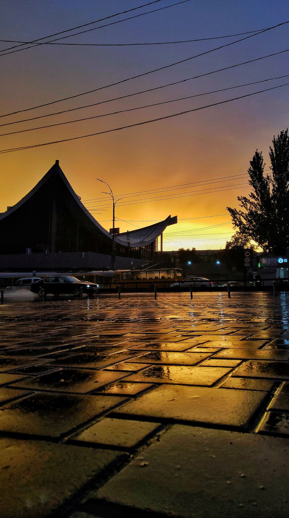 P00725-203810-01.jpeg