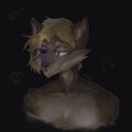 Saddy_Cat