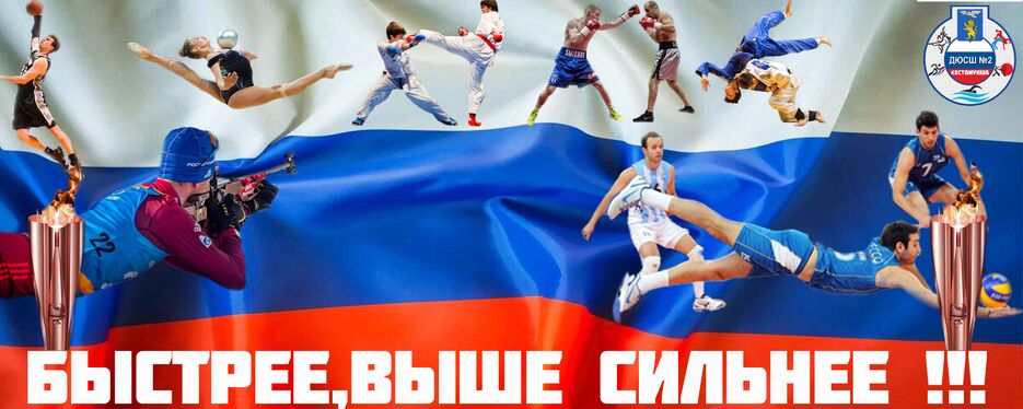 Шапка на Дюсш третий вариант.png