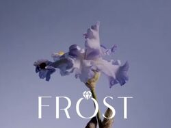 Frost Фирменный Стиль и Анимация