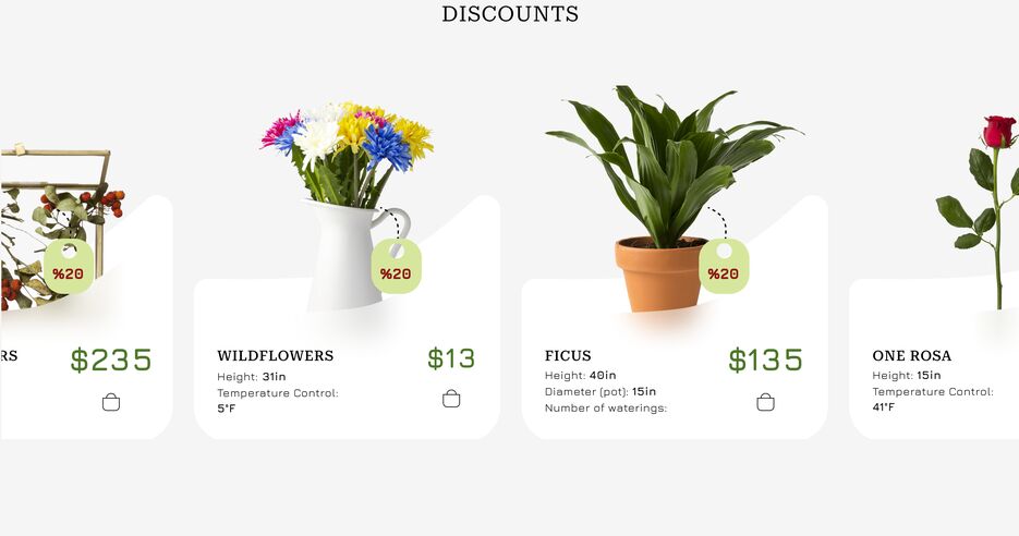 discounts.png