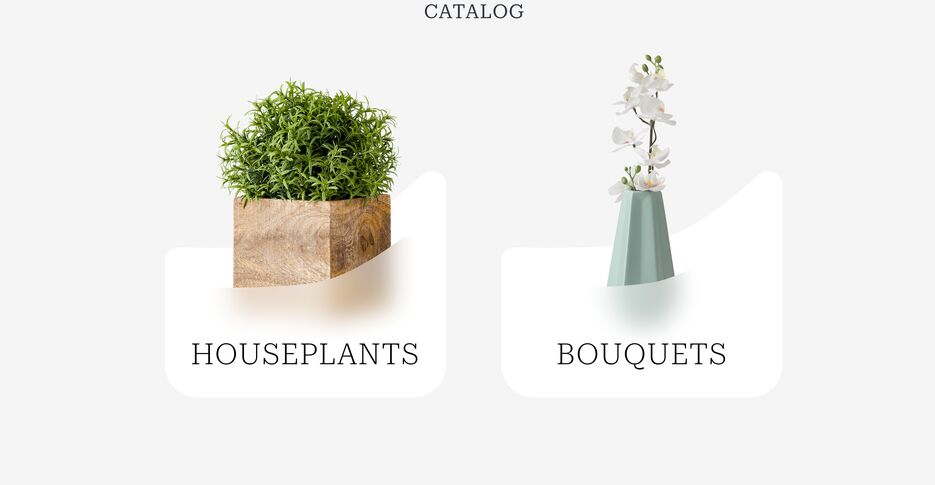 catalog.png