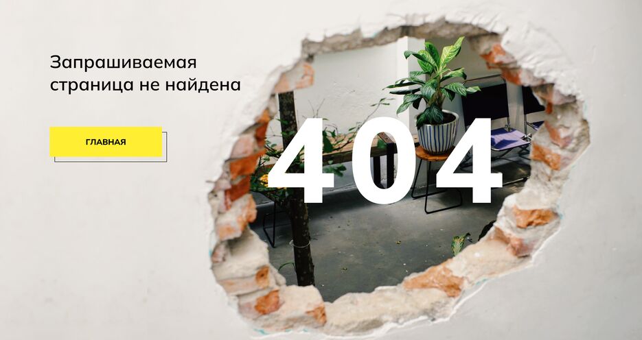 404.png