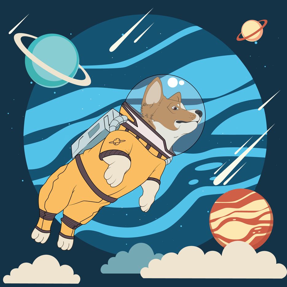 Corgi-готово22.png