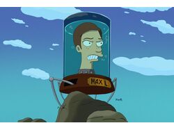 Max L.