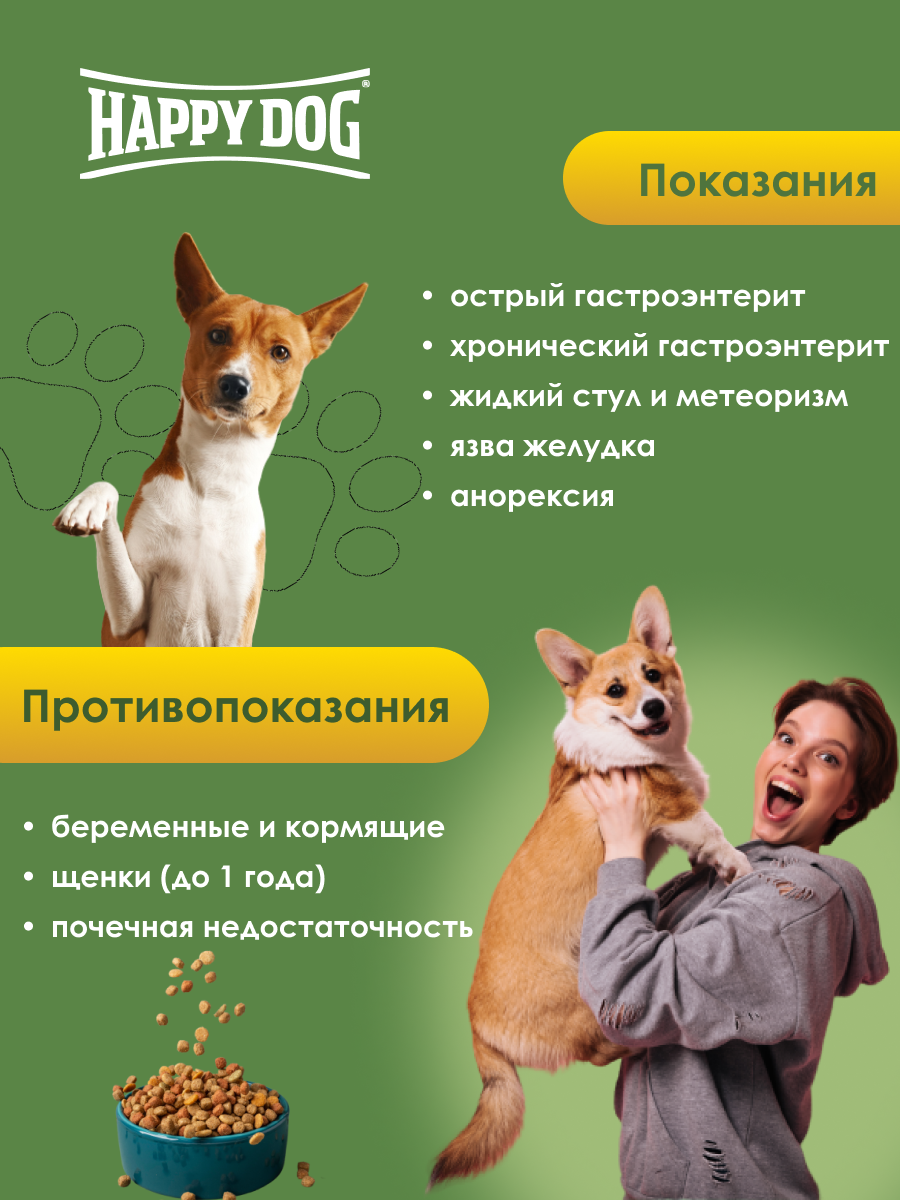 dog 1.png