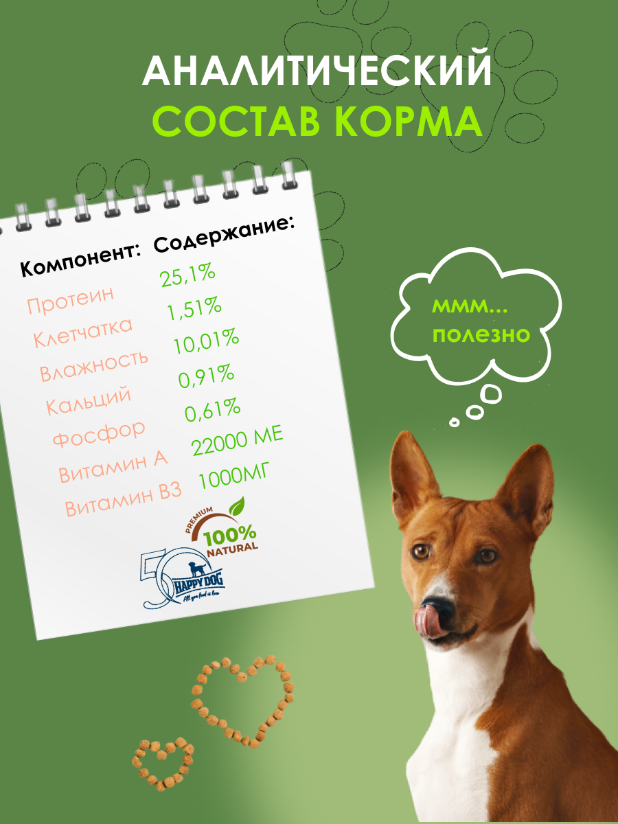 dog 2.png