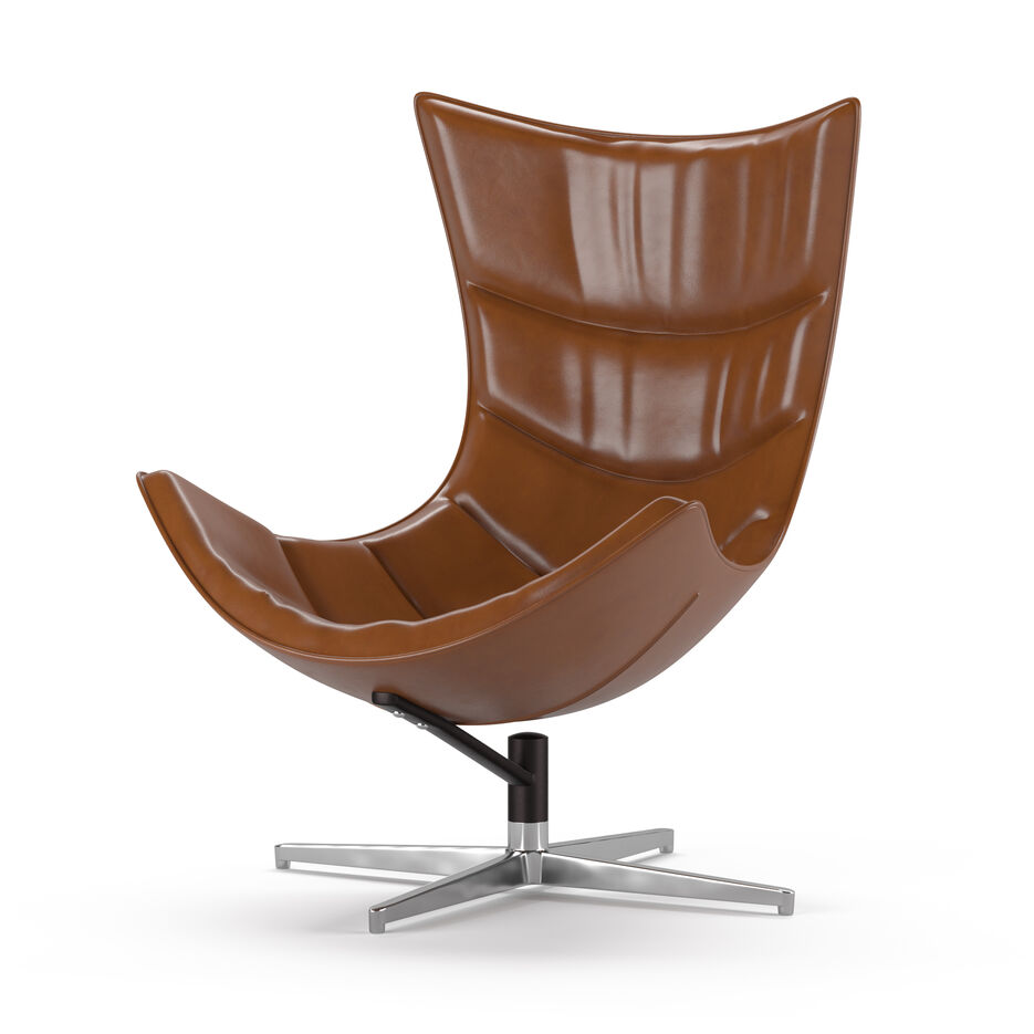 Armchair Leather.jpg