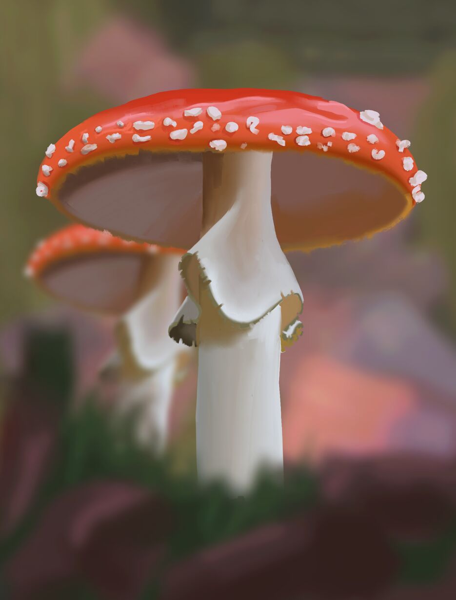 Проект (20221228090631).png