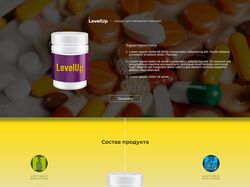 Адаптивная верстка сайта LevelUp - продукт