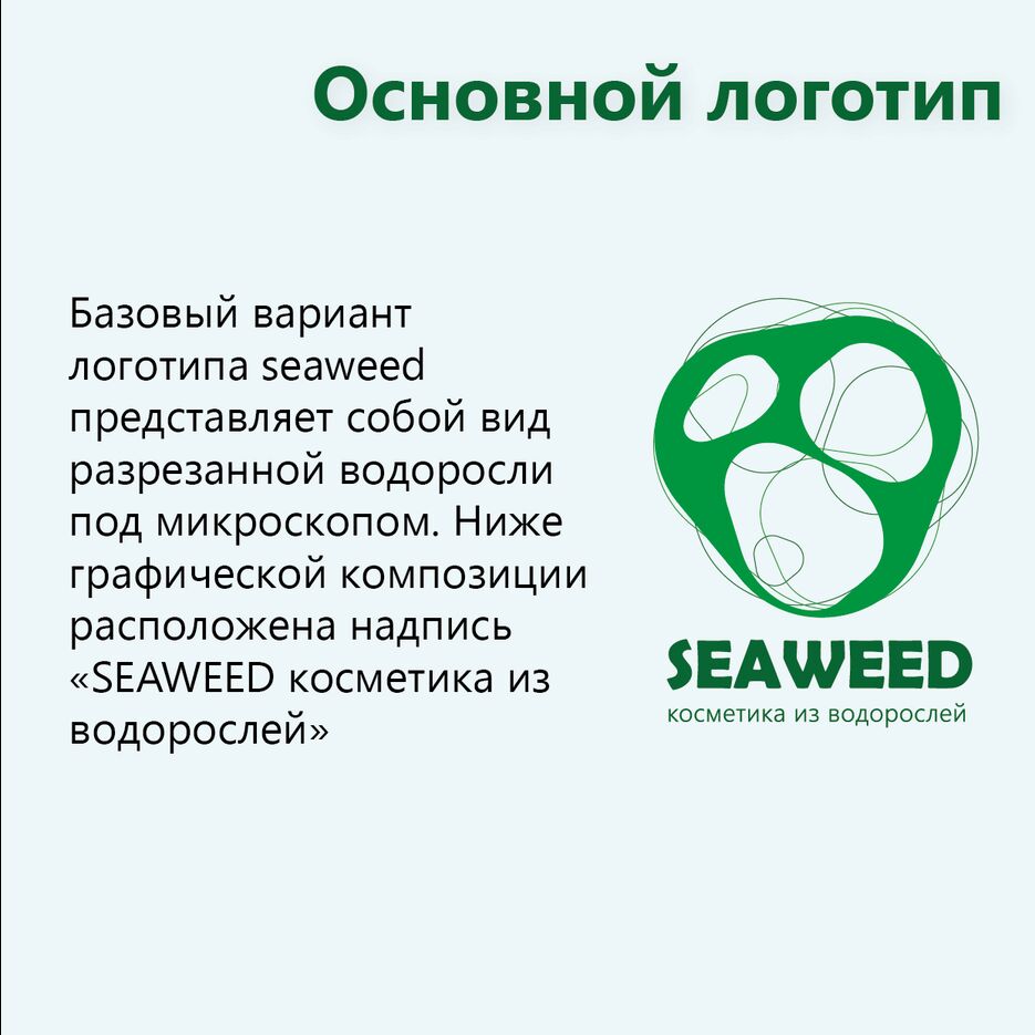 Руководство по логотипу_Монтажная область 1 копия 4.png