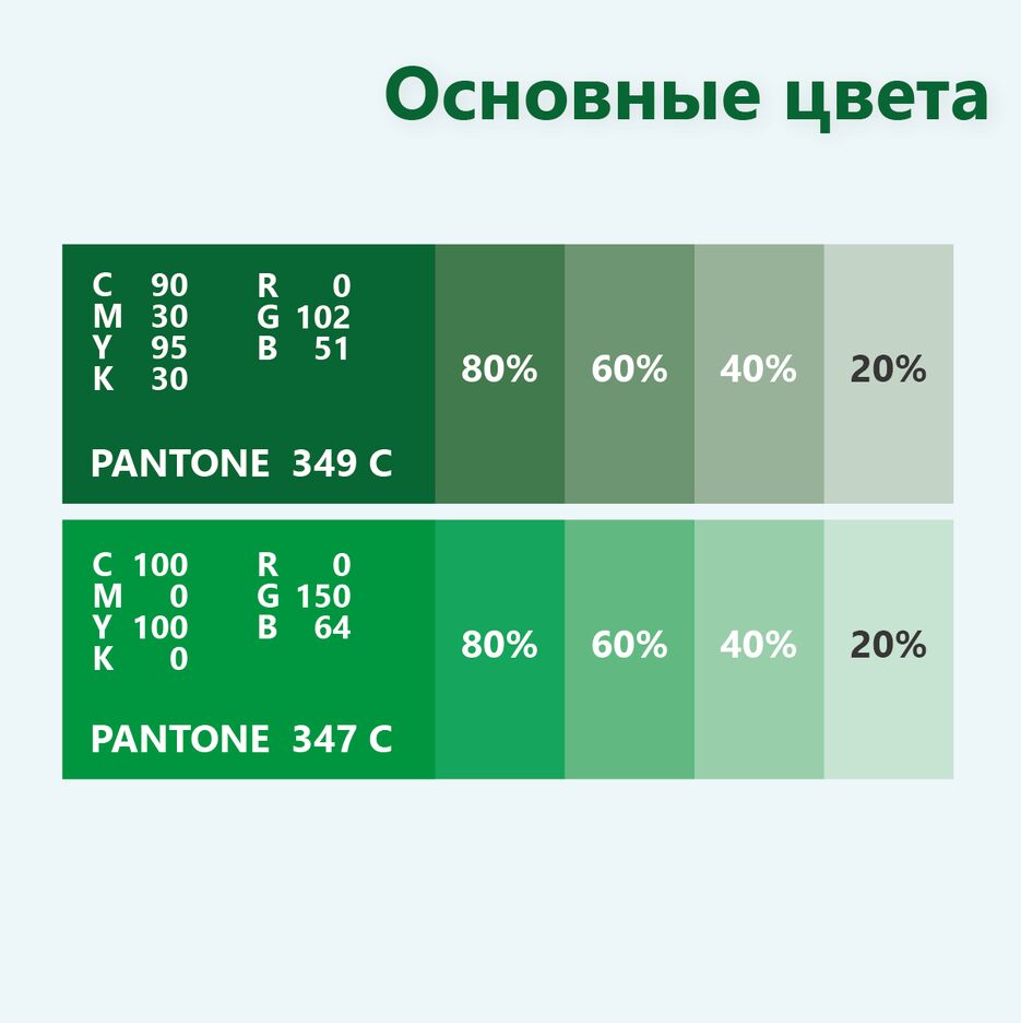 Руководство по логотипу_Монтажная область 1 копия 8.png
